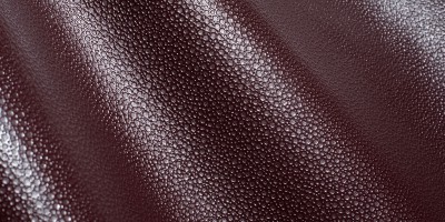 Bollicine